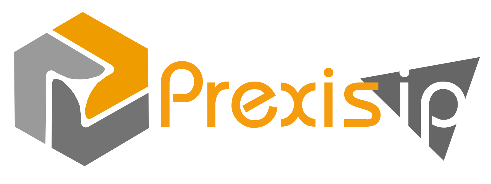 Prexis-IP Logo - No Background